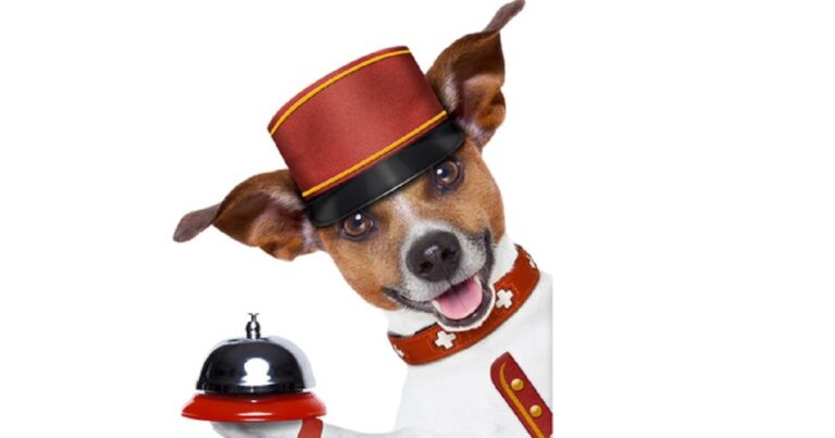 efektywna komunikacja